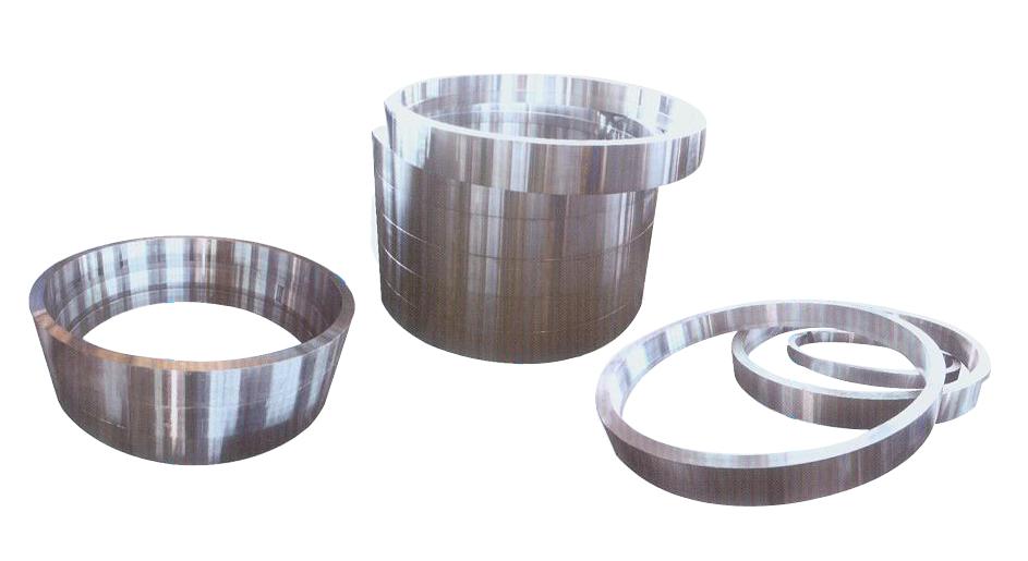 Annular Forgings Products